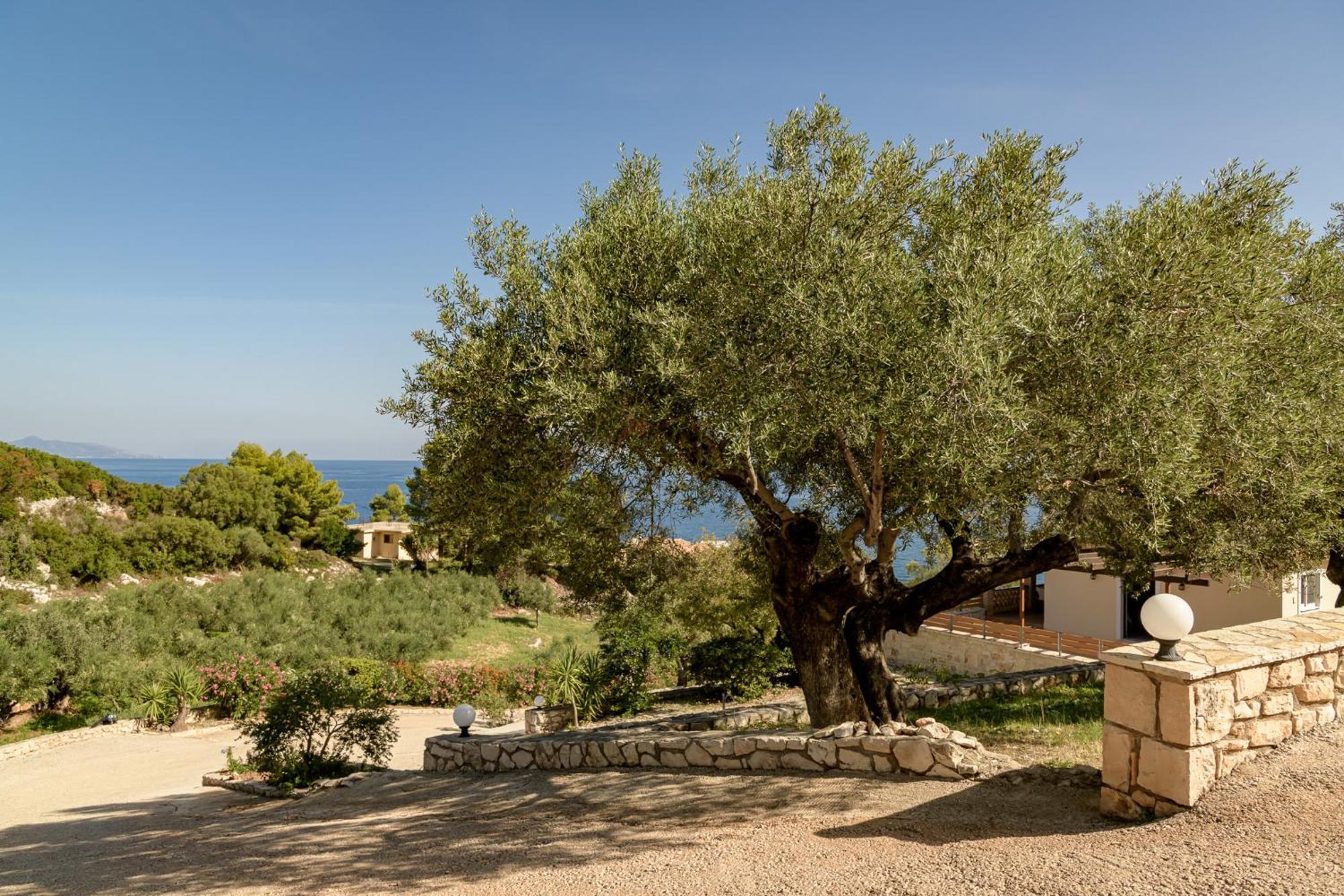 Skinária Villa Mare Studios מראה חיצוני תמונה